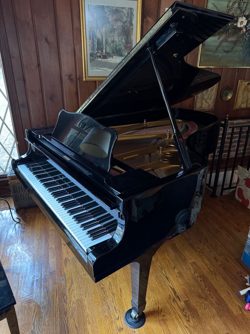 Young Chang Baby Grand Piano Auction